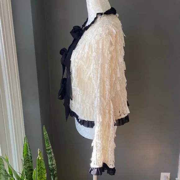 NWT Zara Ivory Ruffle-Trim Sheer Blouse - Picture 8 of 11